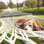 Balancing rest and recovery with myositis